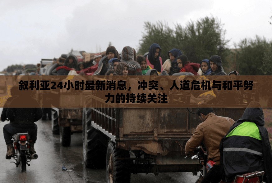 敘利亞24小時最新消息，沖突、人道危機與和平努力的持續(xù)關注