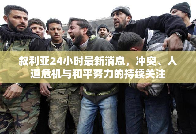 敘利亞24小時最新消息，沖突、人道危機與和平努力的持續(xù)關注