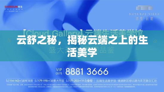 云舒之秘，揭秘云端之上的生活美學(xué)