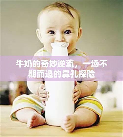 牛奶的奇妙逆流，一場(chǎng)不期而遇的鼻孔探險(xiǎn)