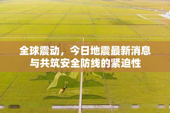 全球震動，今日地震最新消息與共筑安全防線的緊迫性