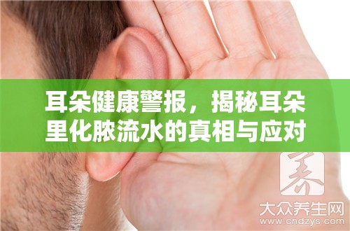 耳朵健康警報，揭秘耳朵里化膿流水的真相與應對策略