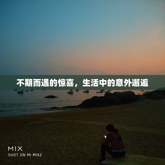 不期而遇的驚喜，生活中的意外邂逅
