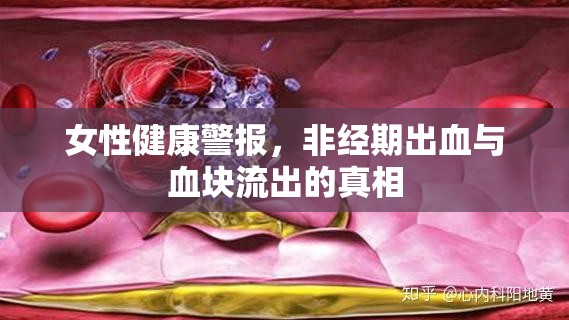 女性健康警報(bào)，非經(jīng)期出血與血塊流出的真相