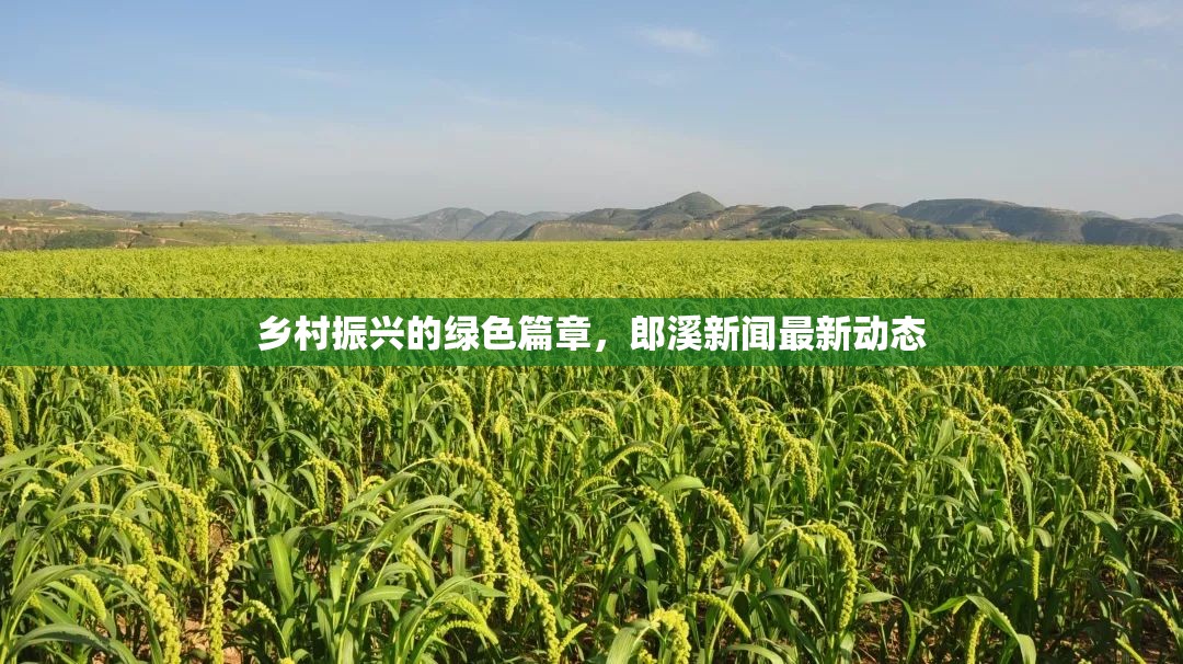 鄉(xiāng)村振興的綠色篇章，郎溪新聞最新動態(tài)