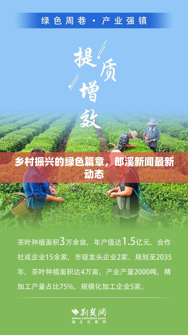 鄉(xiāng)村振興的綠色篇章，郎溪新聞最新動態(tài)
