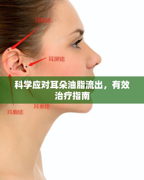 科學應對耳朵油脂流出，有效治療指南