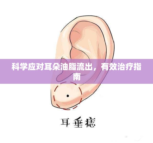 科學應對耳朵油脂流出，有效治療指南