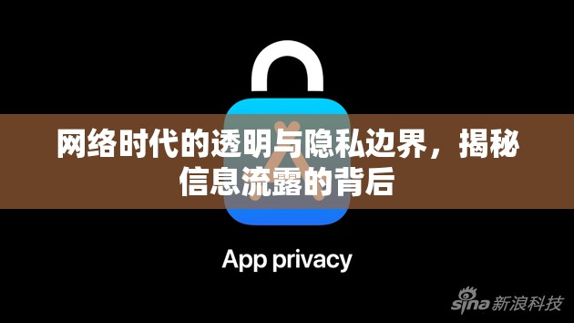 網(wǎng)絡(luò)時代的透明與隱私邊界，揭秘信息流露的背后