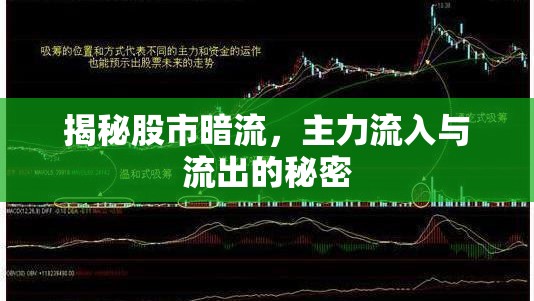 揭秘股市暗流，主力流入與流出的秘密