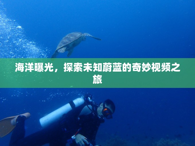 海洋曝光，探索未知蔚藍的奇妙視頻之旅