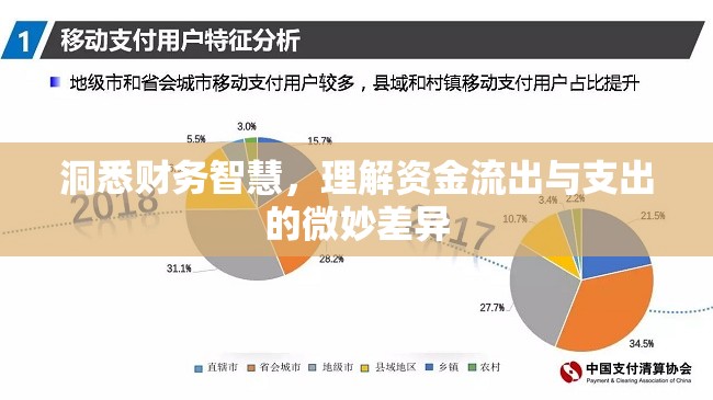 洞悉財務(wù)智慧，理解資金流出與支出的微妙差異
