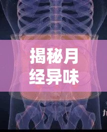 揭秘月經(jīng)異味，為何月經(jīng)流出的東西會發(fā)臭？