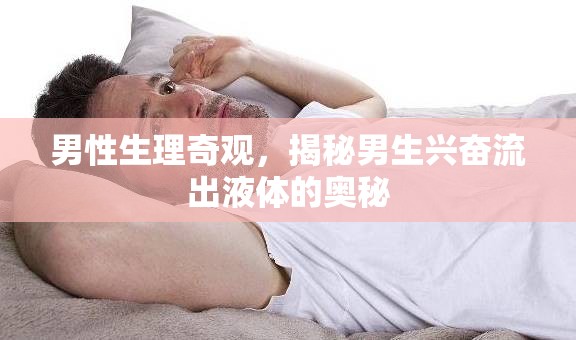 男性生理奇觀，揭秘男生興奮流出液體的奧秘