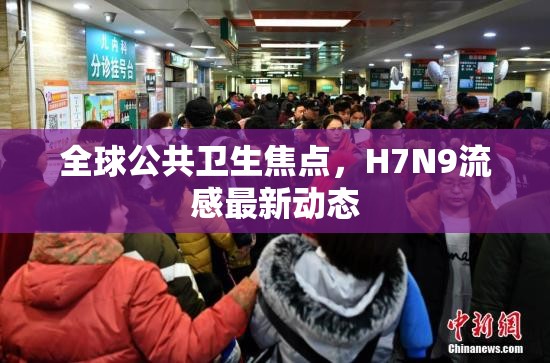 全球公共衛(wèi)生焦點，H7N9流感最新動態(tài)