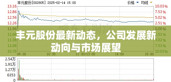 豐元股份最新動態(tài)，公司發(fā)展新動向與市場展望