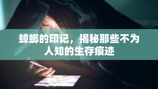 蟑螂的印記，揭秘那些不為人知的生存痕跡