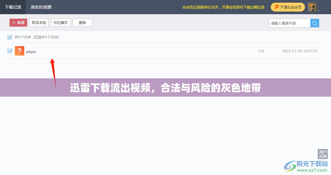 迅雷下載流出視頻，合法與風(fēng)險(xiǎn)的灰色地帶