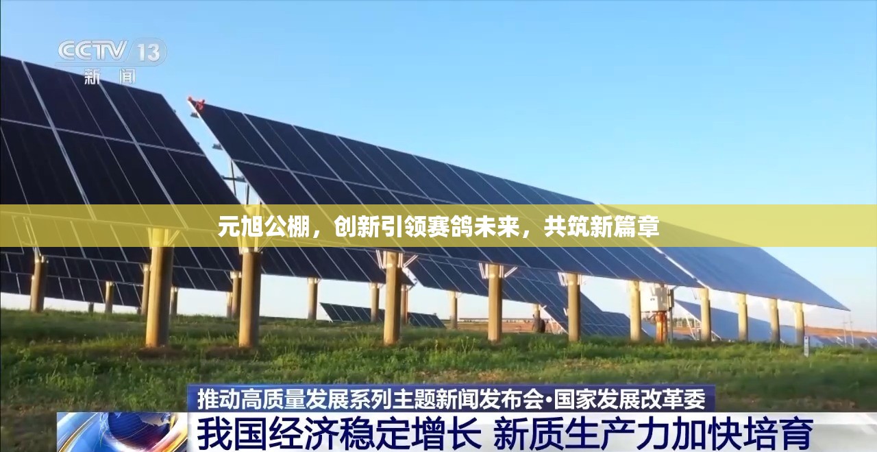 元旭公棚，創(chuàng)新引領(lǐng)賽鴿未來，共筑新篇章