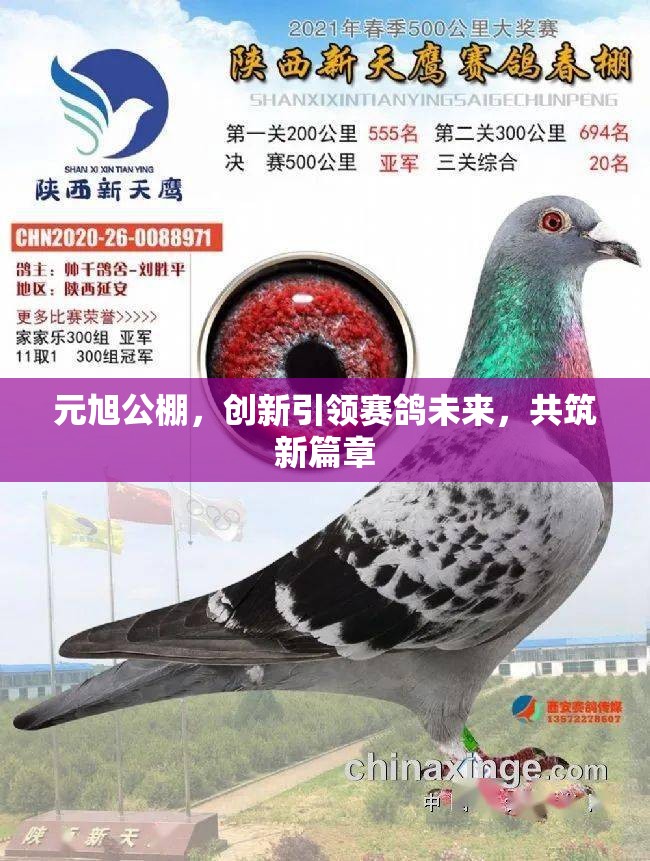 元旭公棚，創(chuàng)新引領(lǐng)賽鴿未來，共筑新篇章