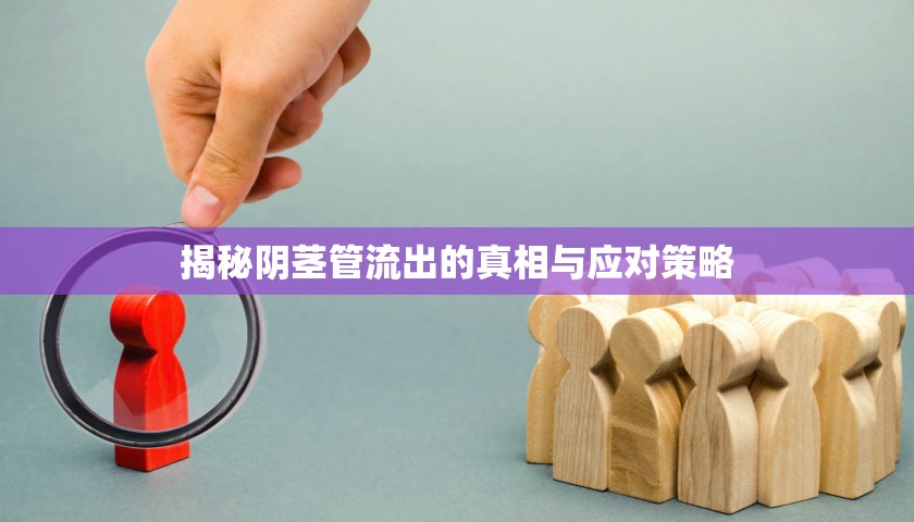 揭秘陰莖管流出的真相與應(yīng)對策略