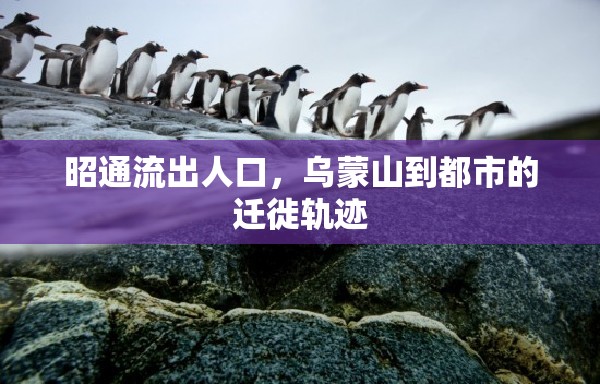 昭通流出人口，烏蒙山到都市的遷徙軌跡