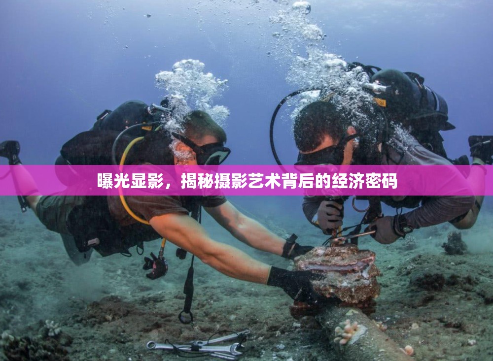 曝光顯影，揭秘攝影藝術(shù)背后的經(jīng)濟密碼