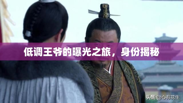 低調(diào)王爺?shù)钠毓庵茫矸萁颐? class=