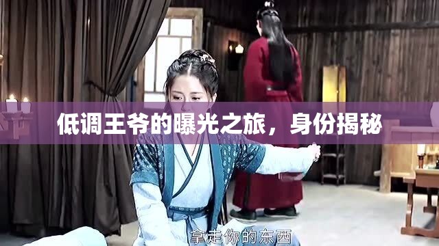 低調(diào)王爺?shù)钠毓庵?，身份揭? class=
