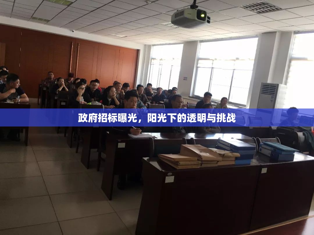 政府招標(biāo)曝光，陽(yáng)光下的透明與挑戰(zhàn)
