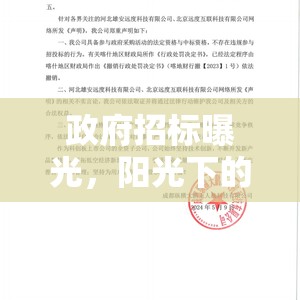 政府招標(biāo)曝光，陽(yáng)光下的透明與挑戰(zhàn)