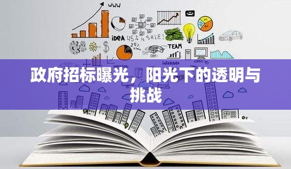 政府招標(biāo)曝光，陽(yáng)光下的透明與挑戰(zhàn)