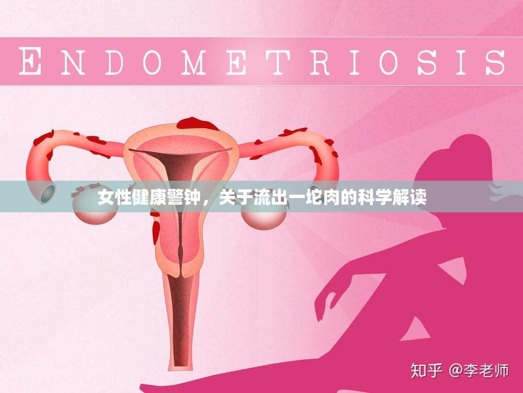 女性健康警鐘，關(guān)于流出一坨肉的科學(xué)解讀