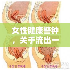女性健康警鐘，關(guān)于流出一坨肉的科學(xué)解讀
