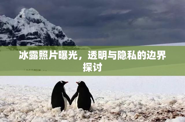冰露照片曝光，透明與隱私的邊界探討
