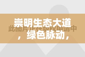 崇明生態(tài)大道，綠色脈動(dòng)，未來之城的生態(tài)新篇章