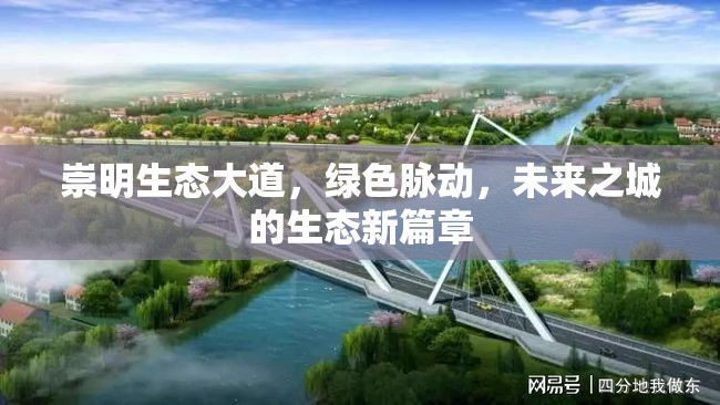崇明生態(tài)大道，綠色脈動(dòng)，未來之城的生態(tài)新篇章