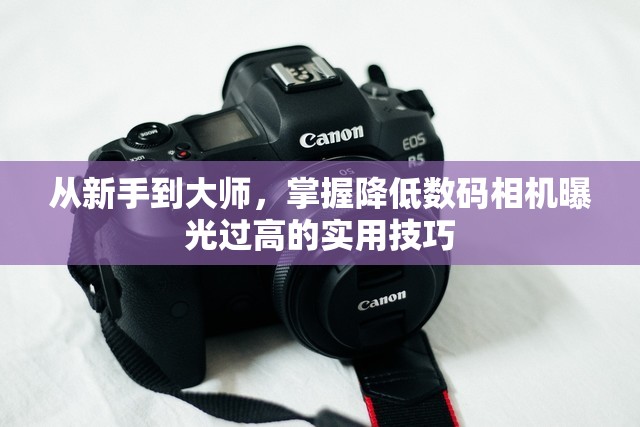 從新手到大師，掌握降低數(shù)碼相機(jī)曝光過(guò)高的實(shí)用技巧