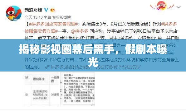 揭秘影視圈幕后黑手，假劇本曝光