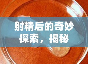 射精后的奇妙探索，揭秘精液流動(dòng)的奧秘
