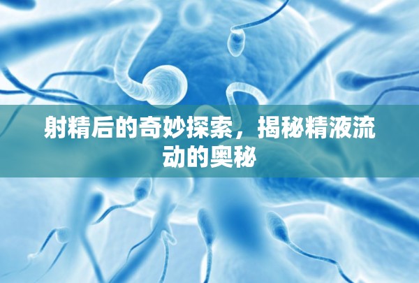 射精后的奇妙探索，揭秘精液流動(dòng)的奧秘