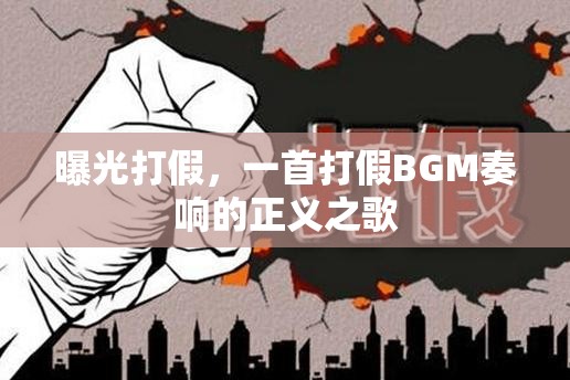 曝光打假，一首打假BGM奏響的正義之歌
