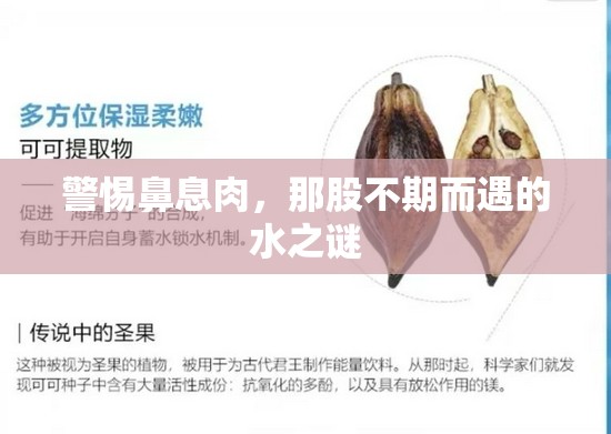 警惕鼻息肉，那股不期而遇的水之謎
