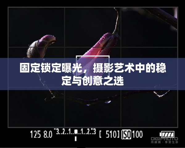 固定鎖定曝光，攝影藝術(shù)中的穩(wěn)定與創(chuàng)意之選