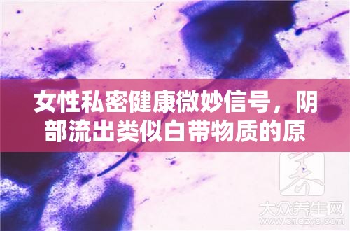 女性私密健康微妙信號(hào)，陰部流出類(lèi)似白帶物質(zhì)的原因與解讀