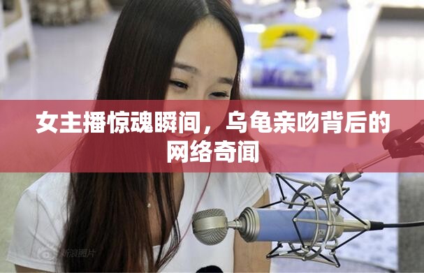 女主播驚魂瞬間，烏龜親吻背后的網(wǎng)絡(luò)奇聞