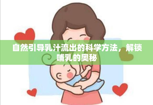 自然引導(dǎo)乳汁流出的科學(xué)方法，解鎖哺乳的奧秘