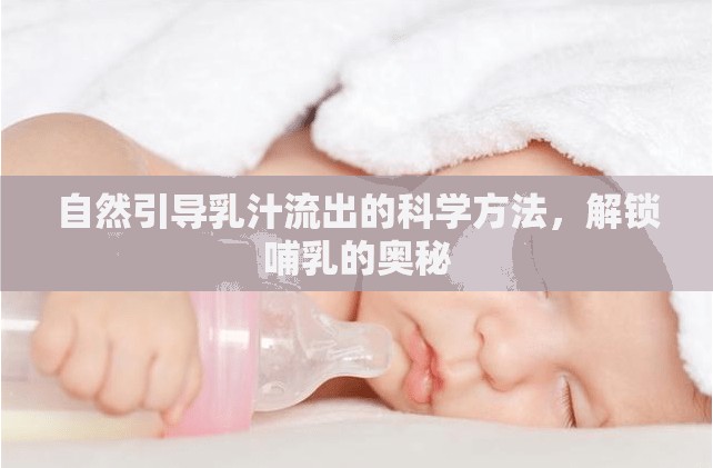 自然引導(dǎo)乳汁流出的科學(xué)方法，解鎖哺乳的奧秘