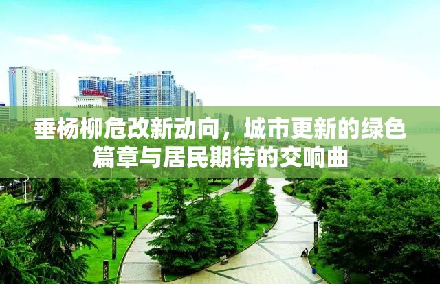 垂楊柳危改新動(dòng)向，城市更新的綠色篇章與居民期待的交響曲
