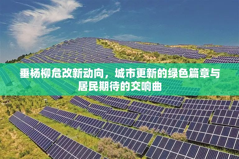 垂楊柳危改新動(dòng)向，城市更新的綠色篇章與居民期待的交響曲